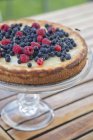 Homemade pie with wild berries on cakestand — Stock Photo