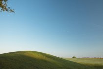 Verdi colline ondulate sotto cielo azzurro chiaro — Foto stock