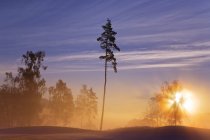 Vista panorámica de la puesta de sol en Hills Golf Club - foto de stock