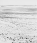 Vista panorâmica de campos cobertos de neve, preto e branco — Fotografia de Stock