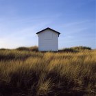 Autentica capanna sulla spiaggia con erba alta la sera — Foto stock