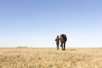 Visão traseira da mulher com cavalo ao ar livre — Fotografia de Stock