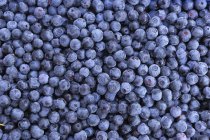 Pile of fresh picked blueberries, top view — Stock Photo