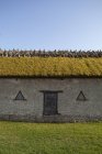 Vue de face de la cabane avec toit de chaume — Photo de stock