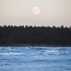 Vista frontal de la luna sobre el bosque y el mar - foto de stock