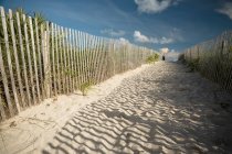 Sandy footpath on beach at sunny day in Miami — Stock Photo