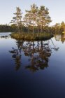 Lago Knuthojdsmossen con piccola isola e alberi — Foto stock