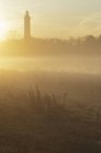 Silhouette of trees and lighthouse at misty sunrise — Stock Photo