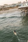 Surfer on water in San Diego with pier and houses on beach in background — Stock Photo