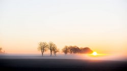 Paesaggio nebbioso con sole nascente in cielo — Foto stock