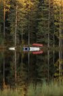 Живописный вид на лес и лодки на берегу озера — стоковое фото