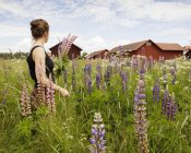 Side view of woman holding bunch of lupine flowers — Stock Photo