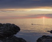 Vista panorâmica do mar sob céu temperamental ao pôr-do-sol, Suécia — Fotografia de Stock
