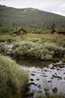 Vieilles maisons en bois et ruisseau rocheux — Photo de stock