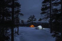 Two tents among trees at night in Kindla nature reserve — Stock Photo