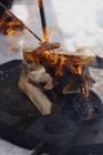Salsicha sendo aquecida em fogo, foco diferencial — Fotografia de Stock