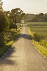 Rural road in green landscape with trees — Stock Photo