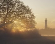 Silhouette of trees and lighthouse at misty sunrise — Stock Photo