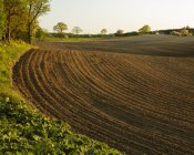 Сельскохозяйственное поле после вспашки в вечернем солнечном свете — стоковое фото