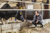 Agricultora de leite do sexo feminino no trabalho, foco seletivo — Fotografia de Stock