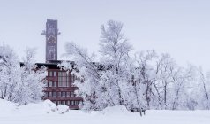 Bâtiment avec tour d'horloge avec arbres d'hiver givrés — Photo de stock