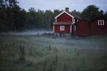 Falu red houses and foggy field at dawn — Stock Photo