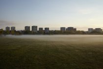 Туманне поле і блоки квартир на задньому плані — стокове фото