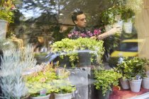 Florist arbeitet im Blumenladen, Fokus auf Hintergrund — Stockfoto