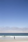Хлопчик стоїть на пляжі Carmel-by-the-Sea в Californa — стокове фото