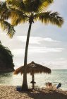 Tropical beach by sea in West Indies — Stock Photo