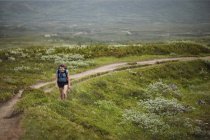 Vue surélevée de la femme randonnée dans les prairies, mise au point différentielle — Photo de stock