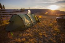 Scenic view of green tent at sunset — Stock Photo