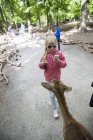 Rapariga fotografando veados na reserva de vida selvagem — Fotografia de Stock