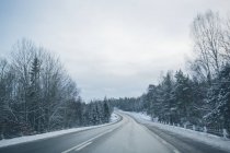 Vista panorâmica da estrada florestal durante o inverno — Fotografia de Stock