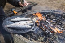 Vue recadrée de l'homme cuisinant du poisson sur le feu de camp — Photo de stock