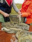 Fishermen with fish in fishing net, differential focus — Stock Photo