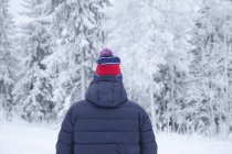 Vue arrière de l'homme en forêt en hiver — Photo de stock