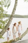 Three girls standing on tree by lake, focus on foreground — Stock Photo