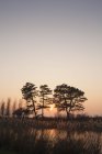 Scenic view of lake at dusk, selective focus — Stock Photo