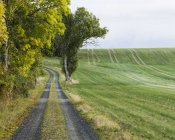 Rural landscape with dirty road, rural scene — Stock Photo