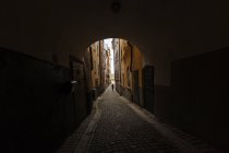 View of cobblestone tunnel, diminishing perspective — Stock Photo