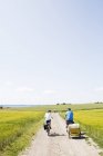 Rear view of family cycling at field, Ven, Sweden — Stock Photo