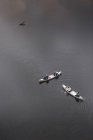 High angle view of people rowing on river in north of Sweden — Stock Photo