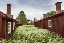 Case di legno sotto cielo coperto nel nord della Svezia — Foto stock