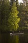 Пара гребцов на реке на севере Швеции — стоковое фото