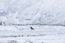 Мужчина перевозил доску для серфинга по заснеженной местности в норвежском Лоффене — стоковое фото