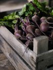 Close-up of beetroots in case, selective focus — Stock Photo