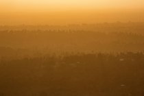 Высокий угол обзора леса на закате в Кении — стоковое фото