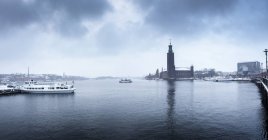 Vue panoramique sur l'hôtel de ville de Stockholm et la mer — Photo de stock