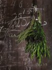 Elevated view of green herbs on wooden background — Stock Photo